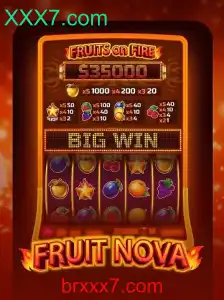 FruitNova: Um Guia Completo sobre o Jogo Inovador